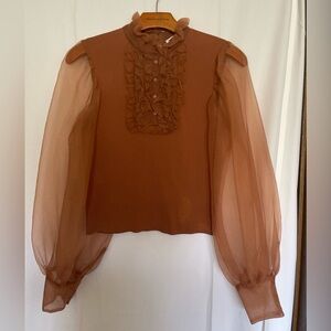ZARA Sheer Puff Sleeve Ruffle Blouse – Size Small